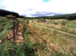 Bridge 200 as it looked in July 2001