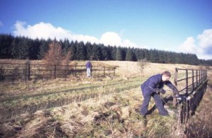 Founders Matt Stoddon & Len Ashton get to work on bridge 200 renovations in February 2002- photo Andy Stoddon